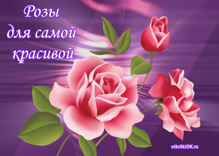 открытки розы красивые