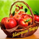 Праздник яблочный спас  2016