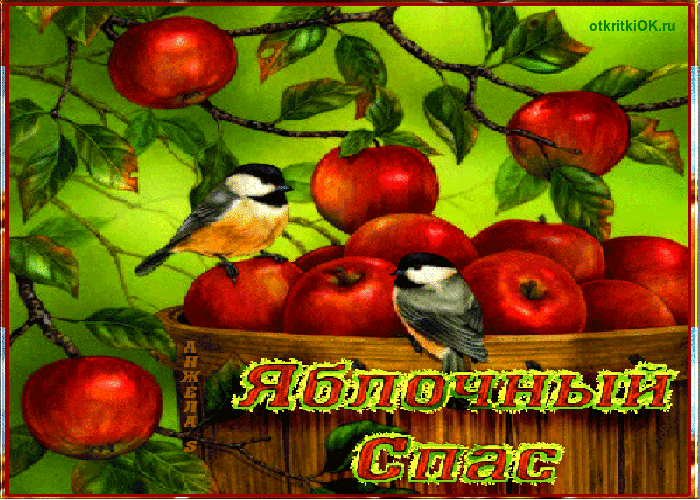Праздник 19 августа яблочный спас
