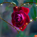 Роза чудесная для тебя