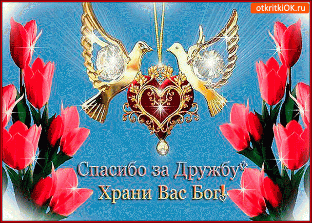 Спасибо за тёплую дружбу | Открытки бесплатно