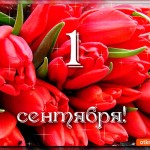 1 сентября - Драю букет тюльпан!