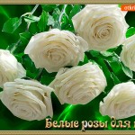 Белые розы для вас