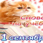 С 1 сентября! Снова на учёбу!