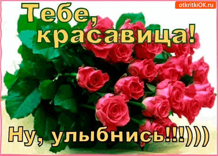 Открытка улыбнись красавица, бревно