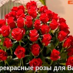 Прекрасные розы для вас