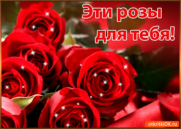 Эти Розы Для Тебя