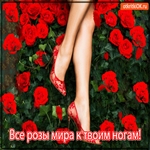 Жизнь к твоим ногам. Розы к твоим ногам. Цветы к твоим ногам. Открытка розы к твоим ногам.