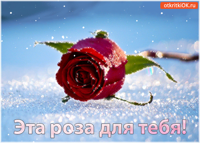 Эта роза для тебя!