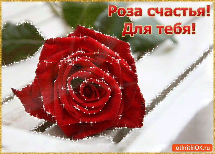 Для тебя роза счастья