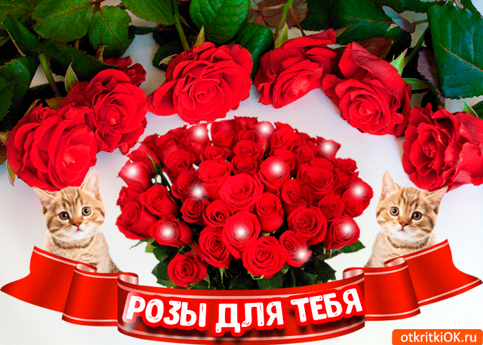Красивые розы для тебя