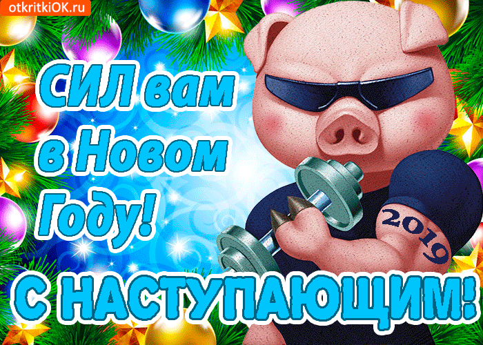 подумали, картинки приколы с наступающим 2019 годом осталось