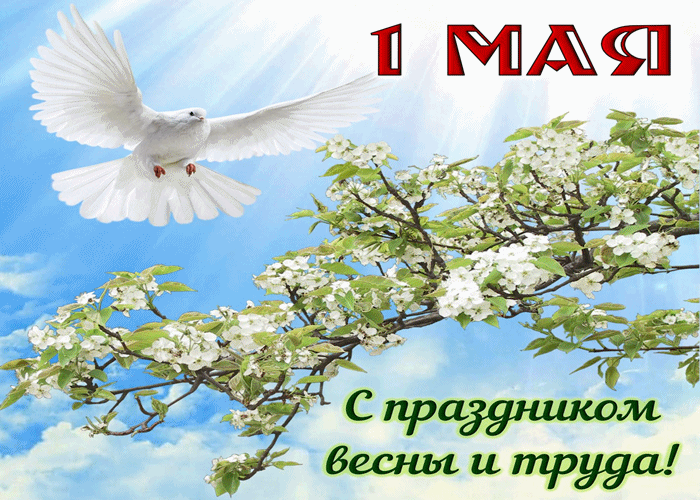 С 1 Мая! Мира радость и труда!