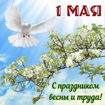 С 1 Мая! Мира радость и труда!