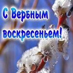 С праздником!Вербное Воскресение