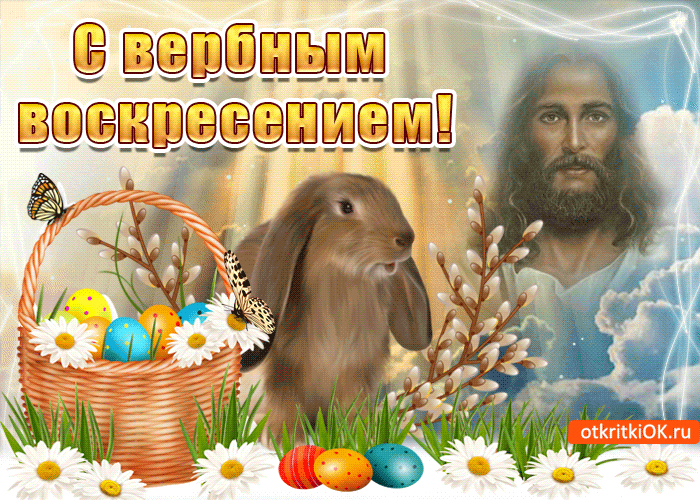 В Вербное Воскресение желаю вам чтоб жизнь была всегда добра!