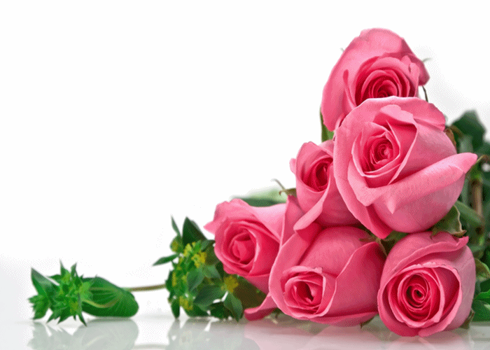 Красивые розы тебе от всей души!