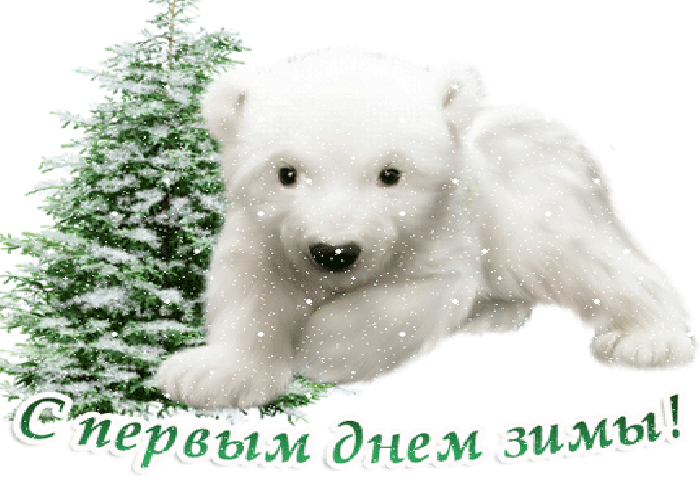 Гифы с первым. С первым днем зимы собачки. С первым днем зимы Медвежонок. Гифка с первым днем зимы. Собака поздравляет с первым днем зимы.