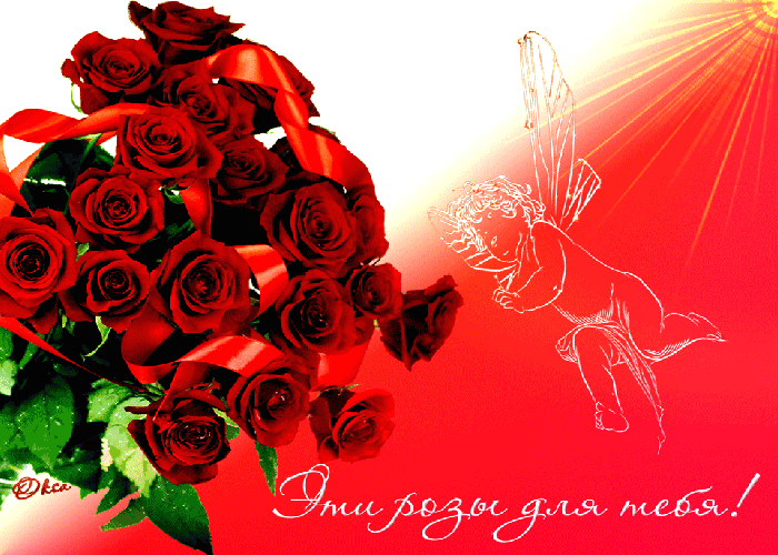 Розы вам от всего сердца!