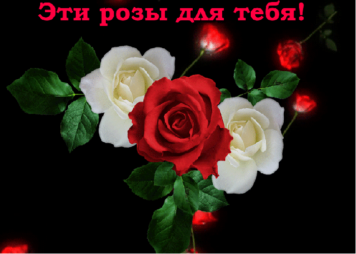 Розы для тебя!