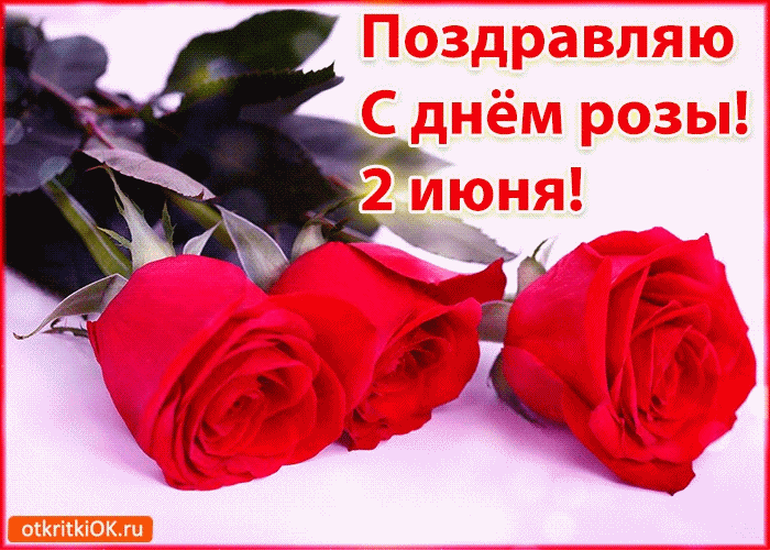 С днем розы Вас поздравляю!