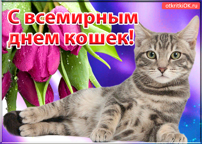 Всех с всемирным днем кошек поздравляю!