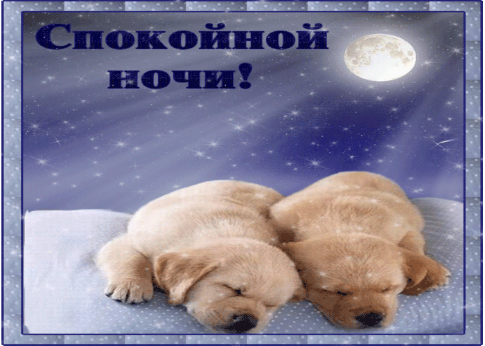 Спокойной ночи! Желаю ярких и чудесных снов!