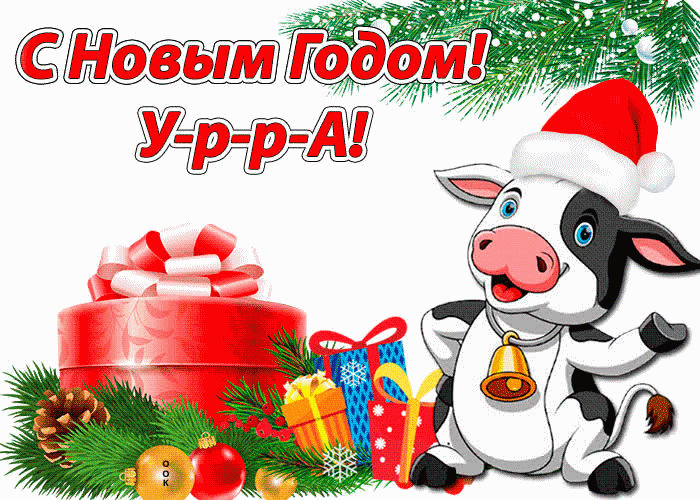 Новый Год Полон Новый Год Полон