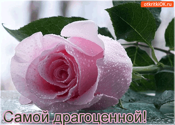 Эти розы с любовью для тебя