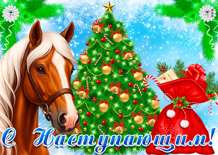 Пусть наступающий Новый Год удачу принесет!
